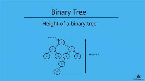 Height of a binary tree | ProCoding