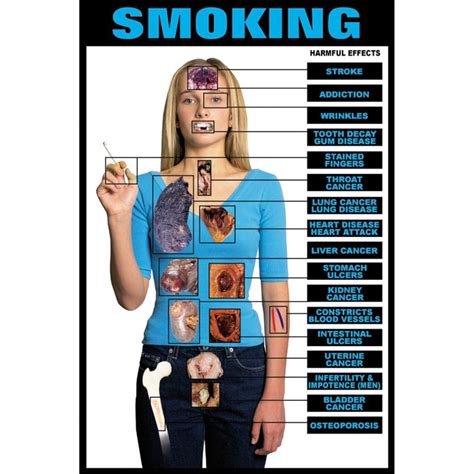 Educational Harmful Effects Of Smoking Chart | Health Edco