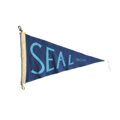 Seal Beach Flag – Slightly Choppy