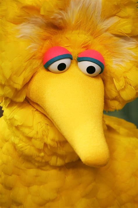 Puppeteer who played Big Bird on 'Sesame Street' retiring | WSYX