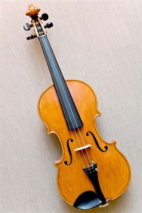 How many strings does a violin have