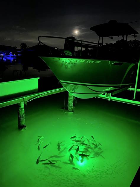 Underwater LED Dock Light for Water Deeper than 10' | Loomis LED