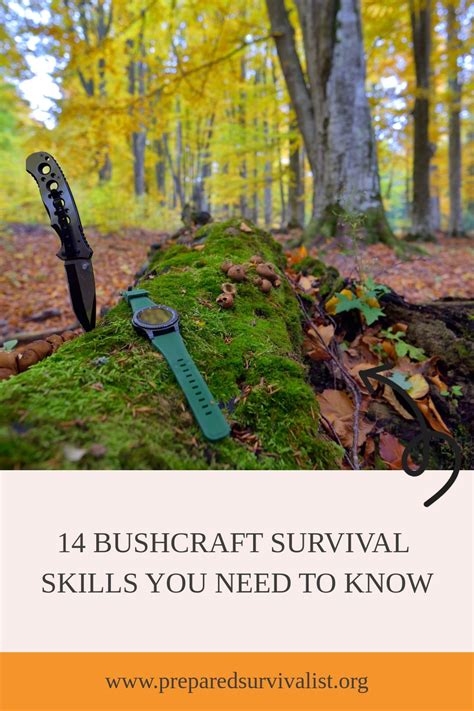 14 bushcraft survival skills you need to know – Artofit