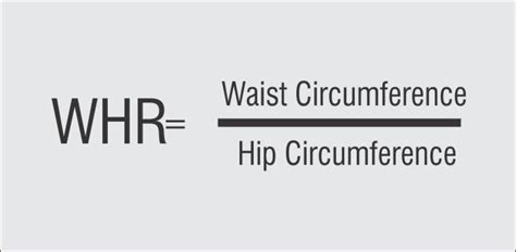 Waist To Hip Ratio Calculator (WHR) | Body Shape Calculator