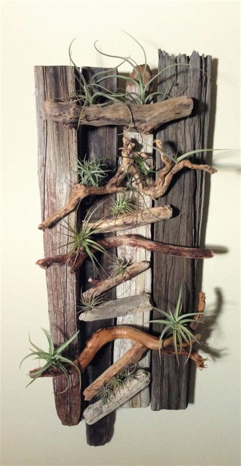 Drift wood air plant wall art – Artofit