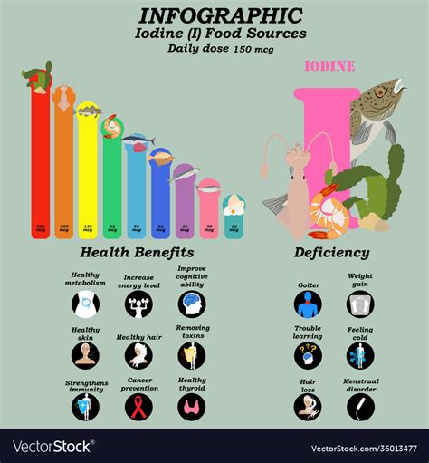 Health benefits iodine supplement infographic Vector Image