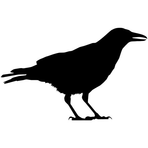 Raven Bird Silhouette at GetDrawings | Free download