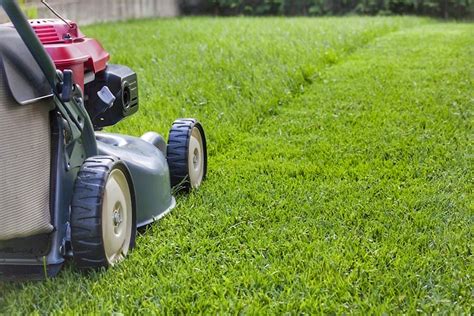 The Striking Similarity Between My Son’s Lawn Mowing Business and Architecture Firms — Echo ...