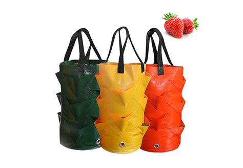 Strawberry Planter Grow Bags • GrabOne NZ