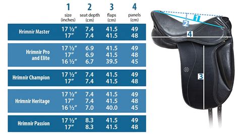 Horse Saddle Size Chart