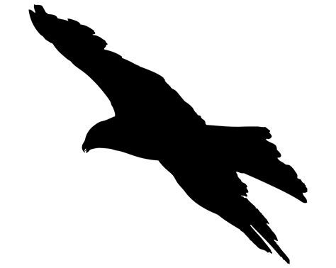 Bird Flying Silhouette Free Stock Photo - Public Domain Pictures