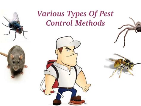 Various types of pest control methods