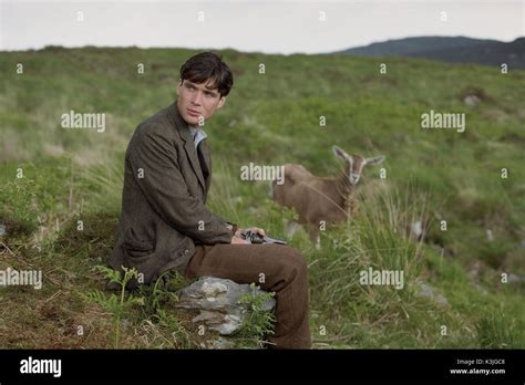 THE WIND THAT SHAKES THE BARLEY CILLIAN MURPHY at mountain cottage THE WIND THAT SHAKES THE ...