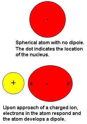 Induced Dipole Forces