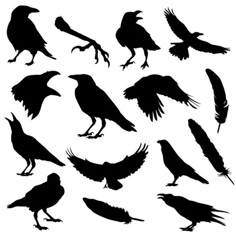 Raven Silhouette Vector at Vectorified.com | Collection of Raven Silhouette Vector free for ...