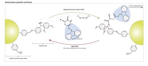 Peptide synthesis technologies | Space Peptides