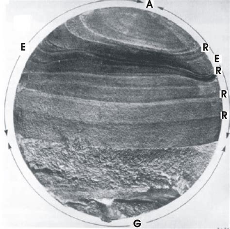 31.: Fatigue fracture surface [39]. | Download Scientific Diagram