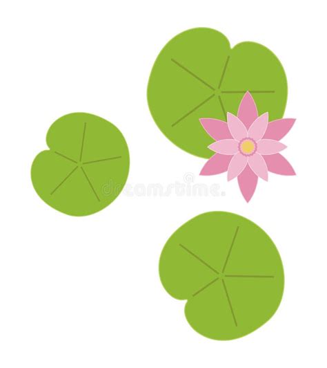 Lily pad leaf flower stock vector. Illustration of bloom - 224736481