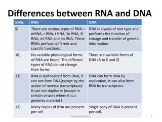 types and structure of prokaryotic RNA