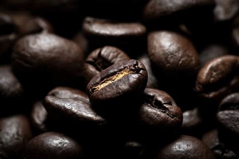 Arabica Coffee Brands | coffeeindustry.online