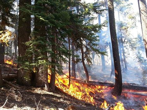 Oregon wildfires: Five large fires continue to burn over warm weekend - oregonlive.com