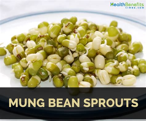 Mung Bean Sprouts Fact, Health Benefits & Nutritional Value