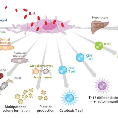 (PDF) Interleukins in Therapeutics