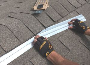 Roof: Roof Zinc Strips