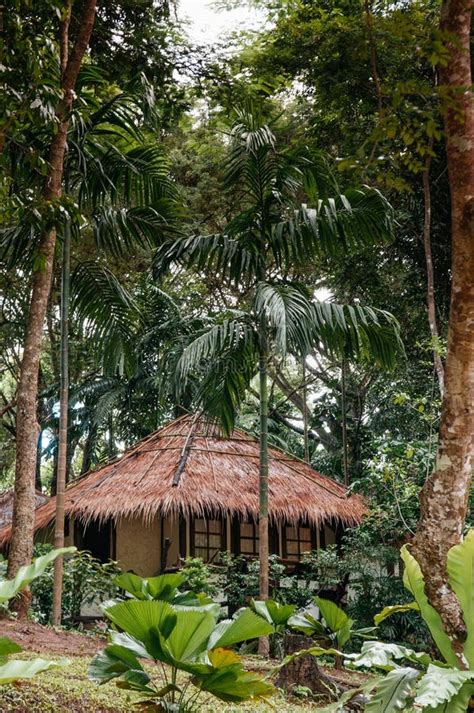 Vintage Straw Thatched Roof Cottage in Tropical Forest Garden, K Editorial Stock Photo - Image ...