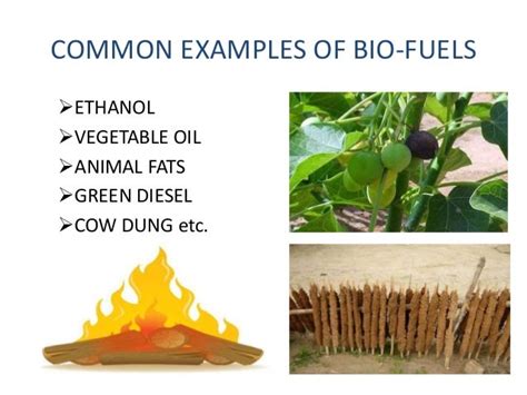 BIO-FUEL (corrected)