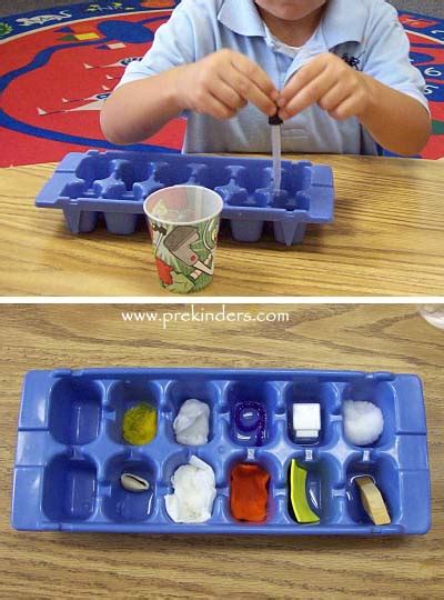 Absorption Experiment - PreKinders Preschool Activities