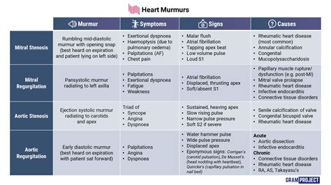 Heart Murmur Diagram Heart Murmurs — Take Aurally