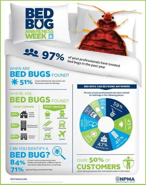 the bed bug is on display in this info sheet, and it's not very big enough to see