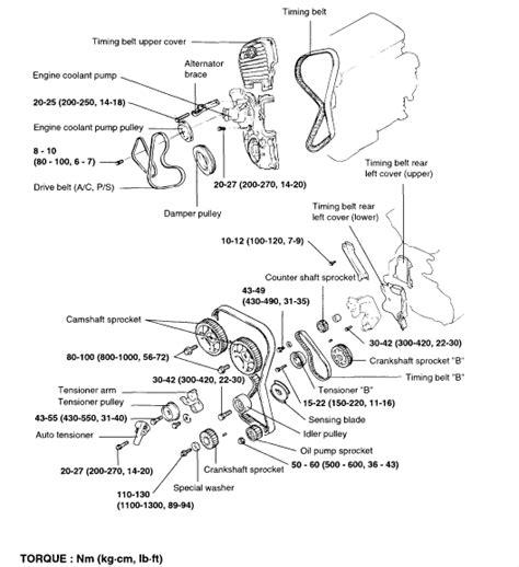 timing belt – Timing belt diagram maintenance replacement