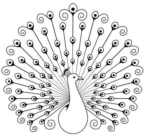 Peacock Drawing Outline at PaintingValley.com | Explore collection of ...