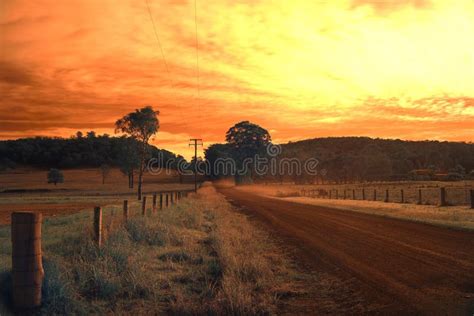 Australian Rural Scene, Country Lane Stock Photo - Image of grassy, dusty: 123727232