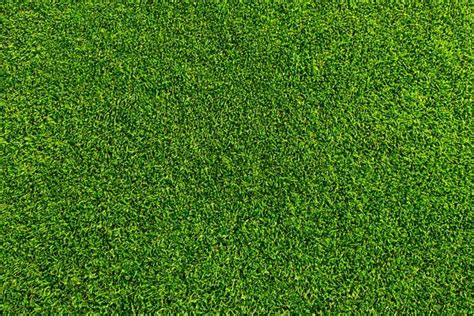 Seamless Artificial Grass Field Texture ⬇ Stock Photo, Image by © keattikorn #10036159