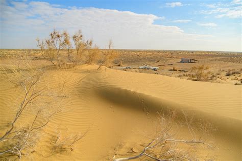 Solar-powered water breeds life in the Turkmenistan desert | by UNDP Eurasia | Medium