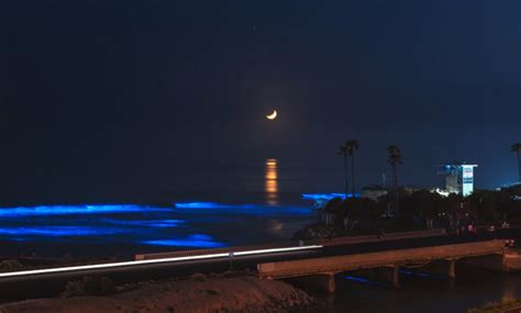 Incredible bioluminescent waves are lighting up Californian beaches