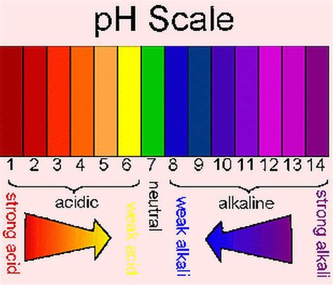 80 Ph Litmus Paper Test Strips Full Range 1-14 Test for Acid & Alkaline ...