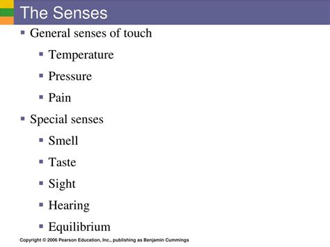 PPT - Special Senses PowerPoint Presentation, free download - ID:3764401