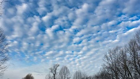 Learn About Altocumulus Clouds: Mid-altitude Cloud Heaps | Clouds, Clouds photography ...