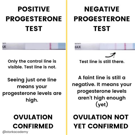 Dog Progesterone Levels Chart Ng/ml