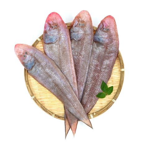 Ikan Lidah / Largescale Tonguesole 1kg+/- per Pack (Sold per Pack) — HORECA Suppliers | Supplybunny