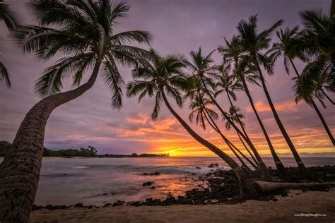 Sunset and coconut palm trees at Makalawena Beach, Kekaha Kai State Park, Kona-Kohala Coast, Big ...