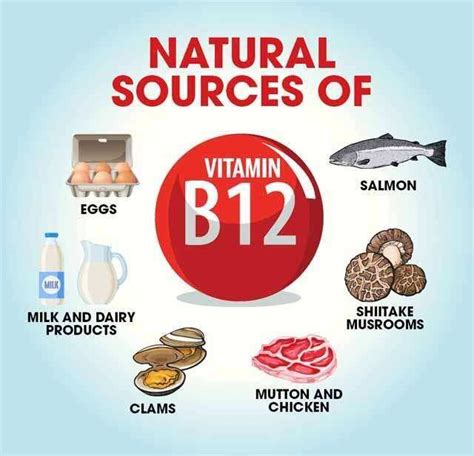 10 Top Vitamin B12 Rich Foods & Their Benefits | Femina.in