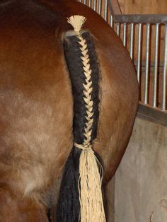 Horse Braids Types