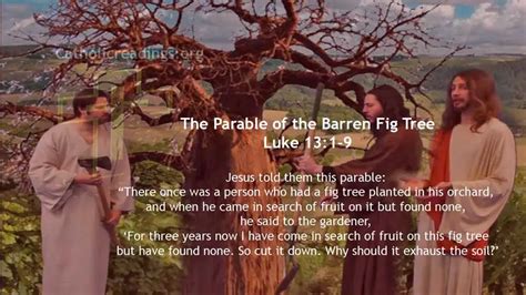 The Parable of the Barren Fig Tree - Luke 13:1-9 - Catholic Daily ...