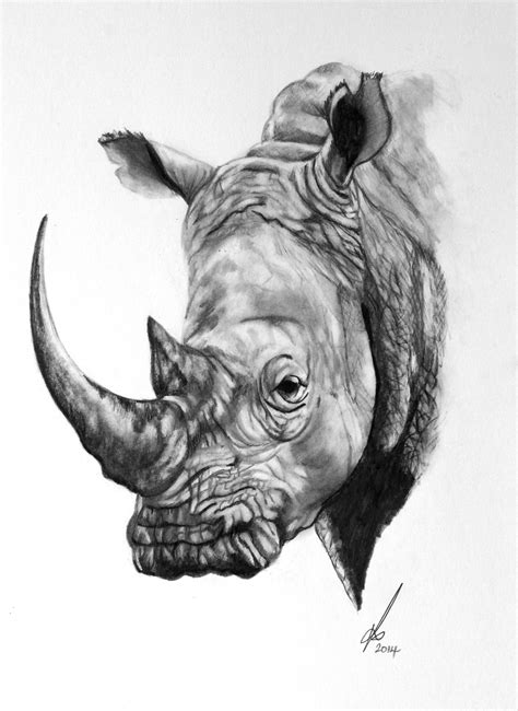 Rhino Pencil Drawing at PaintingValley.com | Explore collection of ...