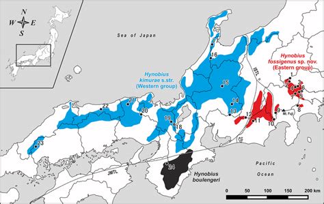 Map Of Honshu Island Japan - Cities And Towns Map